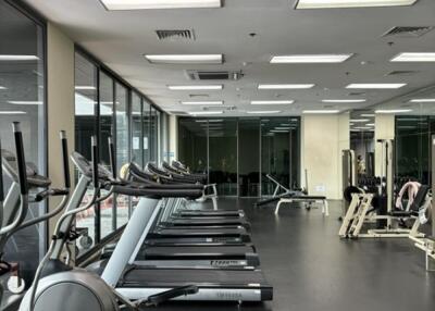 Spacious gym with modern exercise equipment