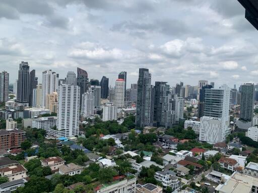 Aerial view of city buildings and skyline