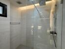 Modern bathroom with walk-in shower