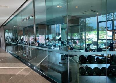 Modern gym with glass walls and equipment