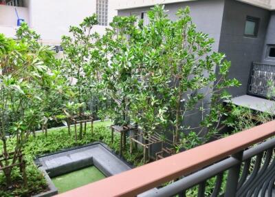 View of a well-maintained outdoor garden with green trees and plants