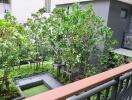 View of a well-maintained outdoor garden with green trees and plants