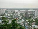 City skyline view with lush greenery in the foreground