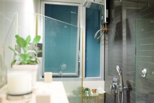 Modern bathroom with a glass shower enclosure and window