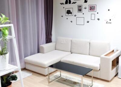 Living room with a white sofa