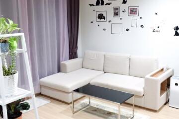 Living room with a white sofa