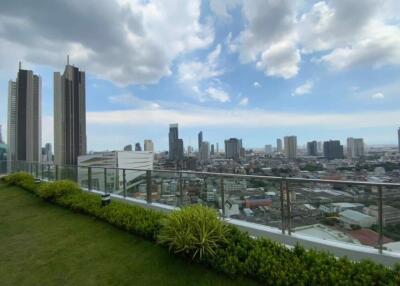 Rooftop garden with city skyline view