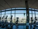 Rooftop gym with panoramic city views