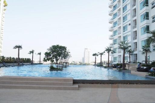 Luxurious outdoor pool area with lounge chairs and palm trees