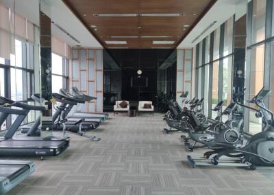 Modern equipped gym with exercise machines and large windows