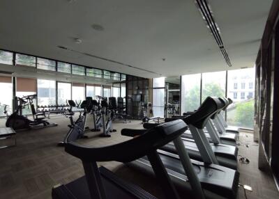 Home gym with various exercise equipment and natural lighting