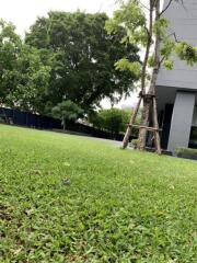 Well-maintained green lawn with trees and a partial view of a modern building