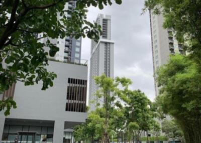 View of modern buildings with greenery and a pathway