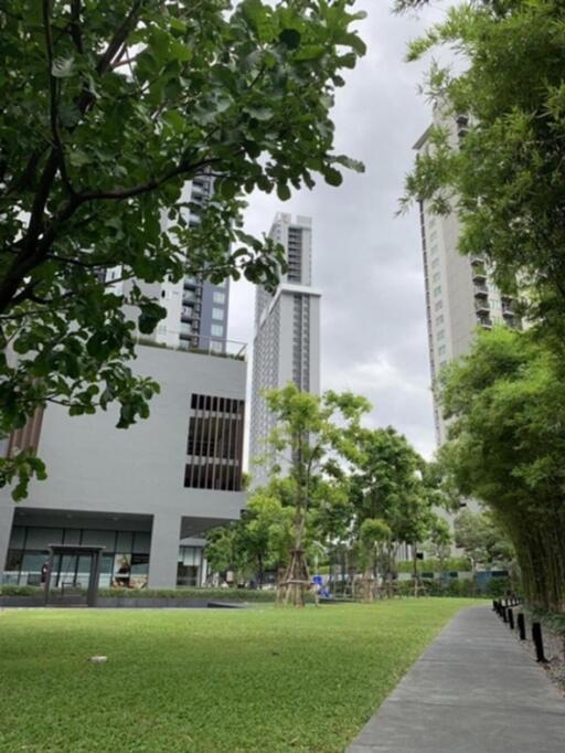 View of modern buildings with greenery and a pathway