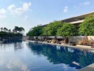 Outdoor swimming pool with surrounding lounge area and greenery