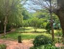 Large garden area with trees and a walking path