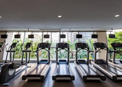 Fitness center with multiple treadmills and windows with a view.