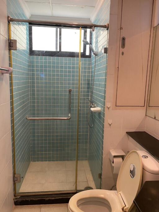 Bathroom with shower area and toilet