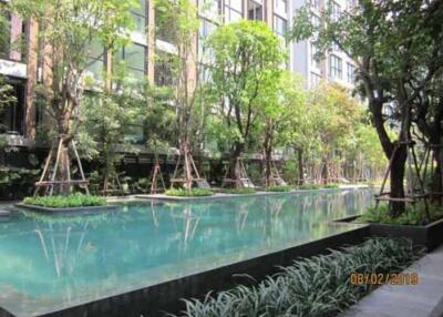 Outdoor swimming pool area surrounded by trees and greenery in front of a residential building