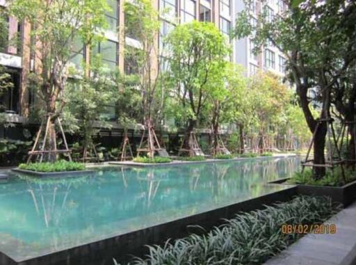 Outdoor swimming pool area surrounded by trees and greenery in front of a residential building