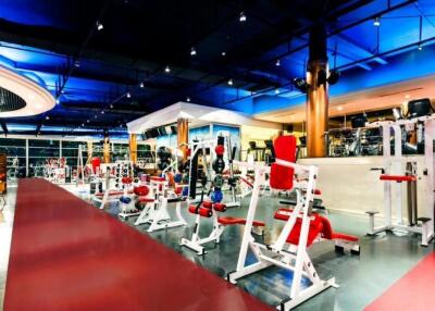 Modern gym with various exercise equipment under ambient lighting