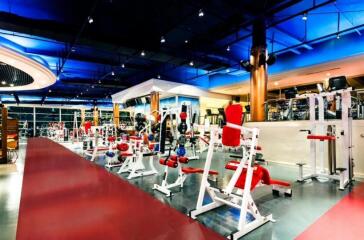 Modern gym with various exercise equipment under ambient lighting