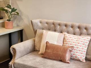 Living room with beige couch and decorative pillows