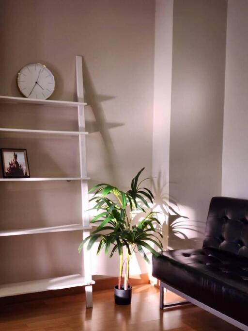 Cozy living room corner with modern shelving and a potted plant