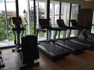 Modern gym with cardio equipment and city view