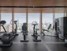 Modern gym with city view