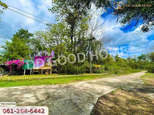 Driveway and front yard of the property