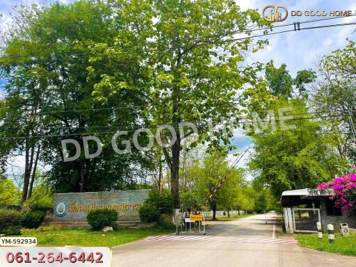 Entrance with trees and greenery