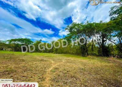 Outdoor property view with trees and clear sky