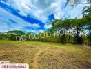 Outdoor property view with trees and clear sky