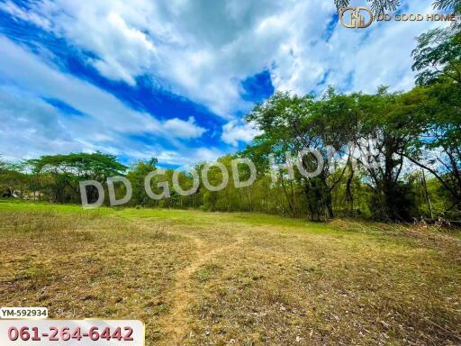 Outdoor property view with trees and clear sky