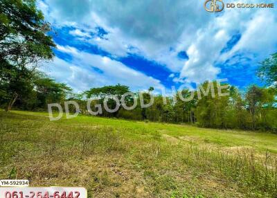 Spacious plot of land with greenery and blue sky