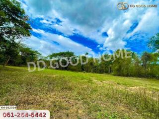 Spacious plot of land with greenery and blue sky