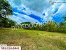 Spacious plot of land with greenery and blue sky