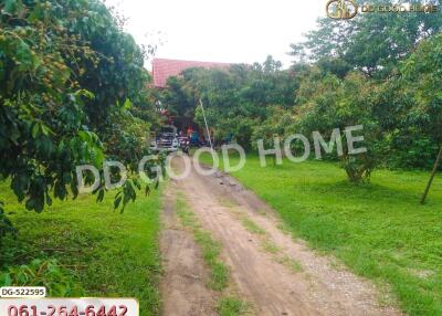 Entrance with driveway and lush green landscape