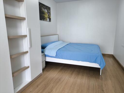 Modern bedroom with blue bedding and wooden flooring