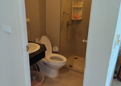 Compact bathroom with shower and toilet