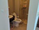 Compact bathroom with shower and toilet