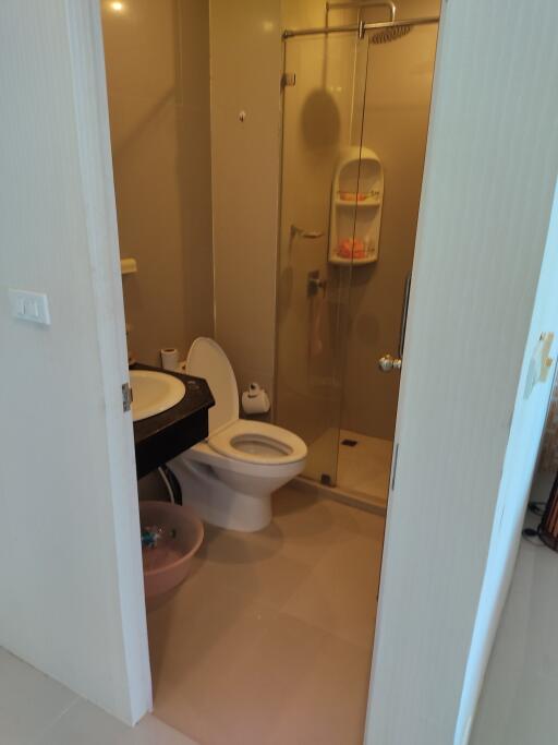 Compact bathroom with shower and toilet