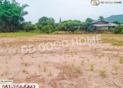 Vacant land plot with surrounding greenery