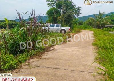 Driveway with surrounding greenery and a parked vehicle