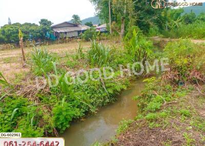 Scenic outdoor area with greenery and a small stream