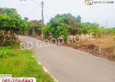 View of a road through greenery