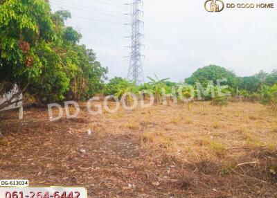 Vacant land with power lines and trees