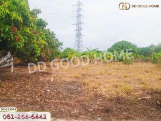 Vacant land with power lines and trees