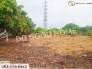 Vacant land with power lines and trees